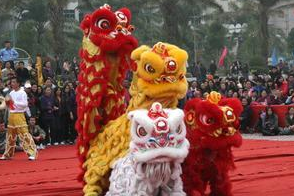 舞獅 舞獅