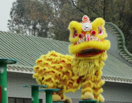 舞獅 舞獅