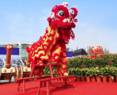 舞獅 專業的舞獅表演怎么找?(圖1)