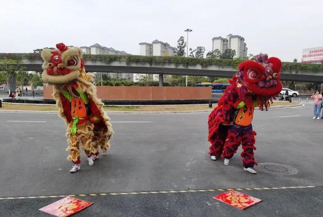 舞龍與舞獅好看嗎?獅舞龍騰威四海,追云逐日逐日氣勢升!(圖9) 舞龍與舞獅好看嗎?獅舞龍騰威四海,追云逐日逐日氣勢升!(圖9)
